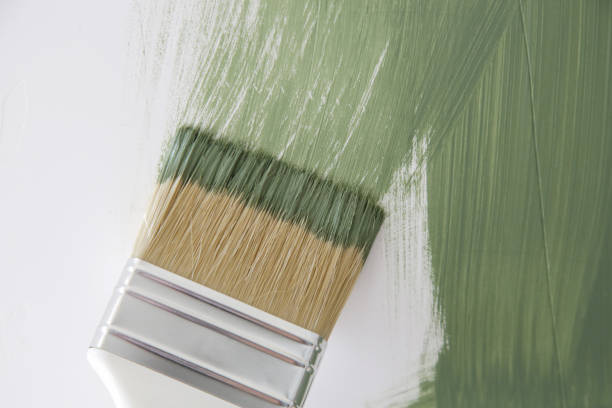 Reliable Thibodaux, LA Mold Removal Solutions