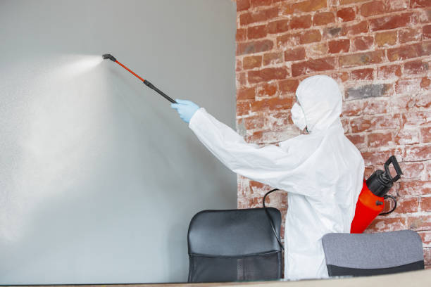 Best Emergency Mold Remediation  in Thibodaux, LA